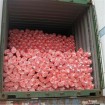 Orange Barrier Mesh 1mx50m long PICKUP